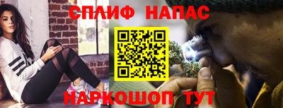 стафф Кинель