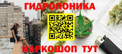 бутират Кингисепп