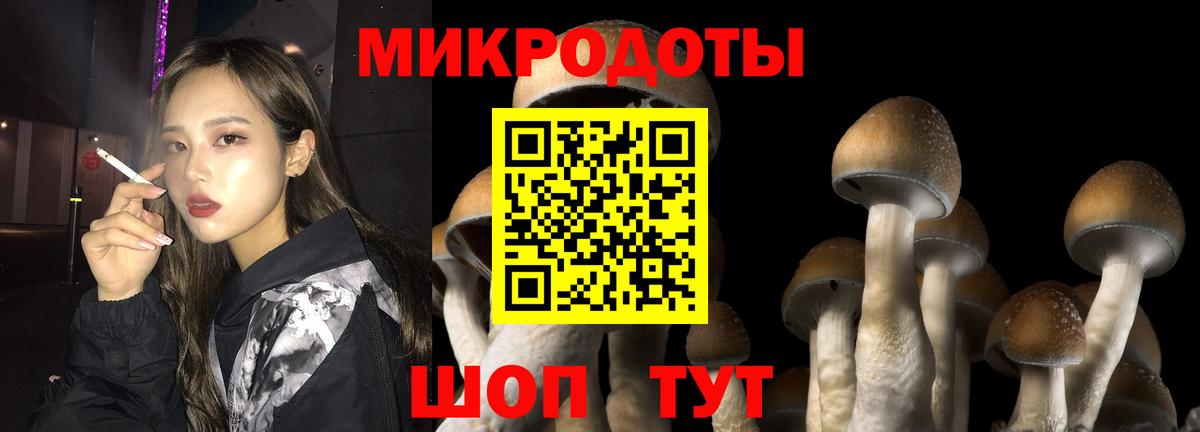 Чита  Галлюциногенные грибы ЛСД  Вход с VPN 